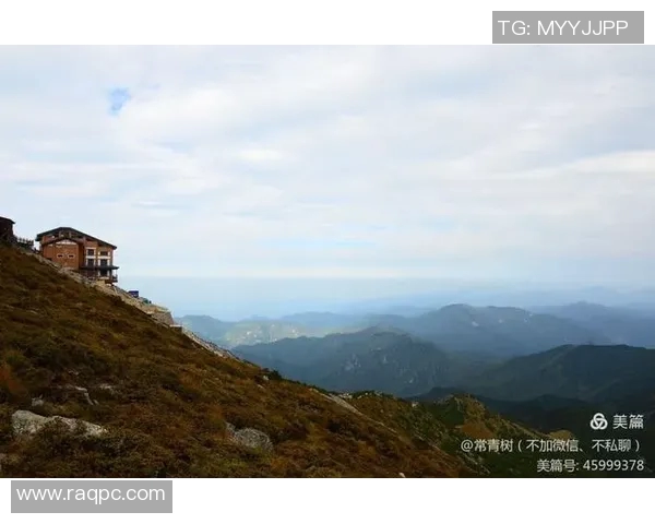 仙台七仙与山形山神激战在即谁能在这场对决中笑到最后