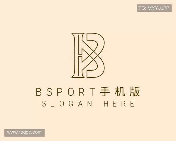 关于Bsport手机版